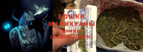 ГАЛЛЮЦИНОГЕННЫЕ ГРИБЫ Арсеньев