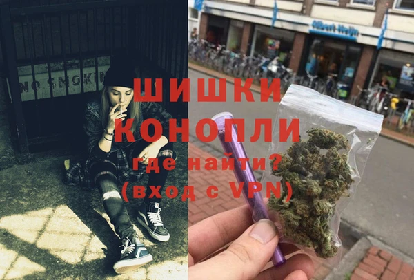 ГАЛЛЮЦИНОГЕННЫЕ ГРИБЫ Арсеньев