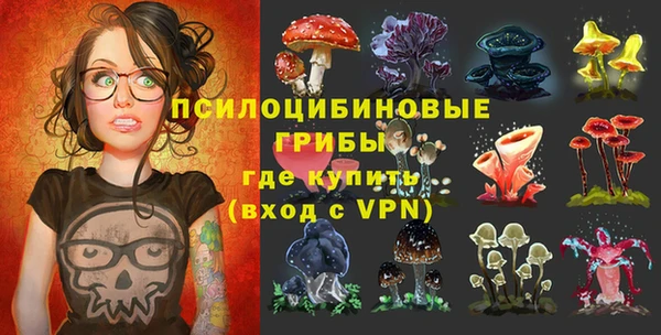 ГАЛЛЮЦИНОГЕННЫЕ ГРИБЫ Арсеньев