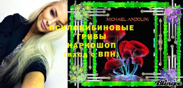 ГАЛЛЮЦИНОГЕННЫЕ ГРИБЫ Арсеньев