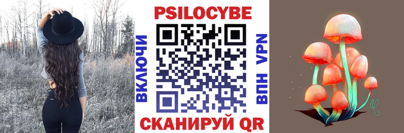 Псилоцибиновые грибы ЛСД  Купить где  Переславль-Залесский 